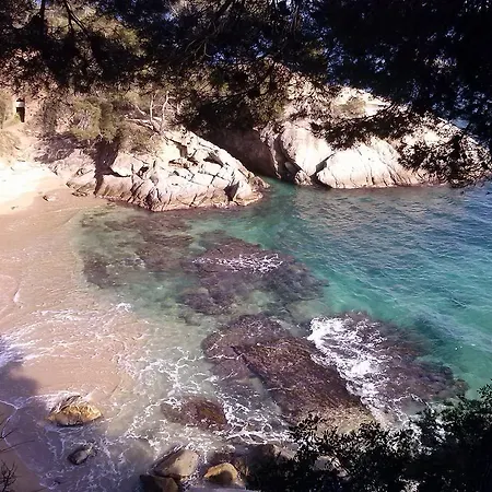 بيت ضيافة La Marina