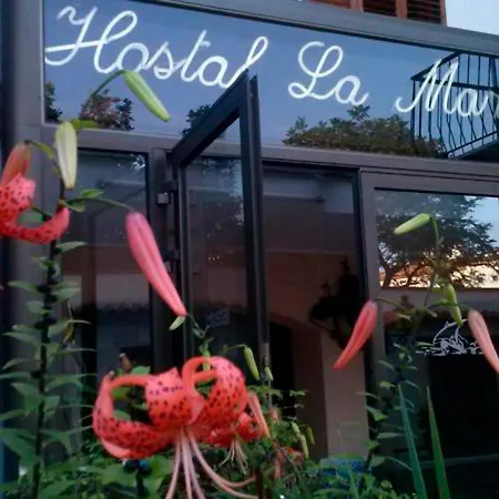 بيت ضيافة La Marina