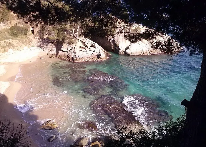 Casa de hóspedes La Marina