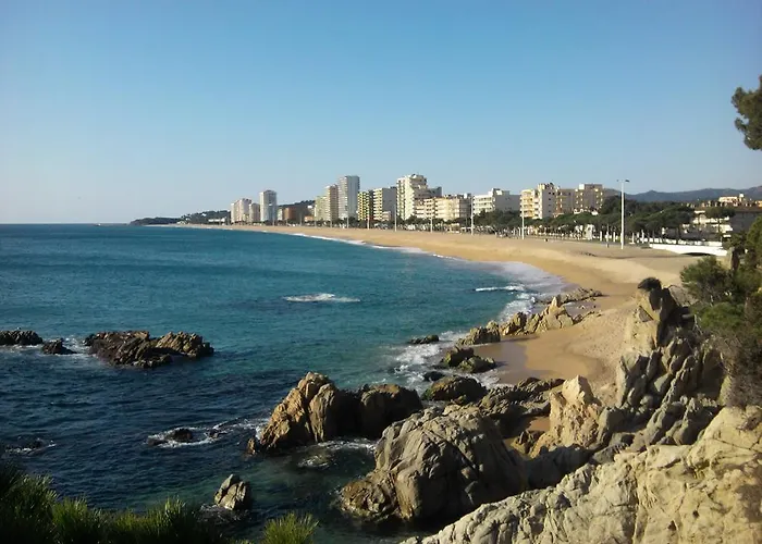 La Marina Guest house